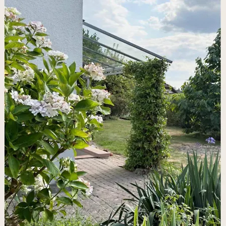 Hortensiengarten Teningen
